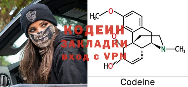 индика Абаза