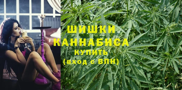 индика Абаза