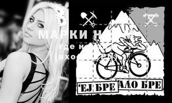 индика Абаза