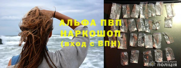 индика Абаза