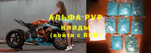 индика Абаза