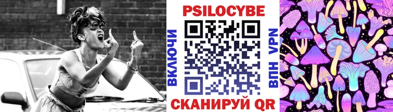 Галлюциногенные грибы Psilocybine cubensis  Красновишерск 